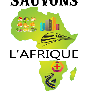 Vision Sauvons l'Afrique, message du Professeur Tamegnon Demagbo